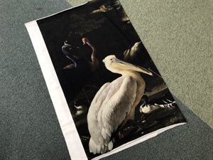 Bomuldsjersey - stor pelikan og ænder, panel